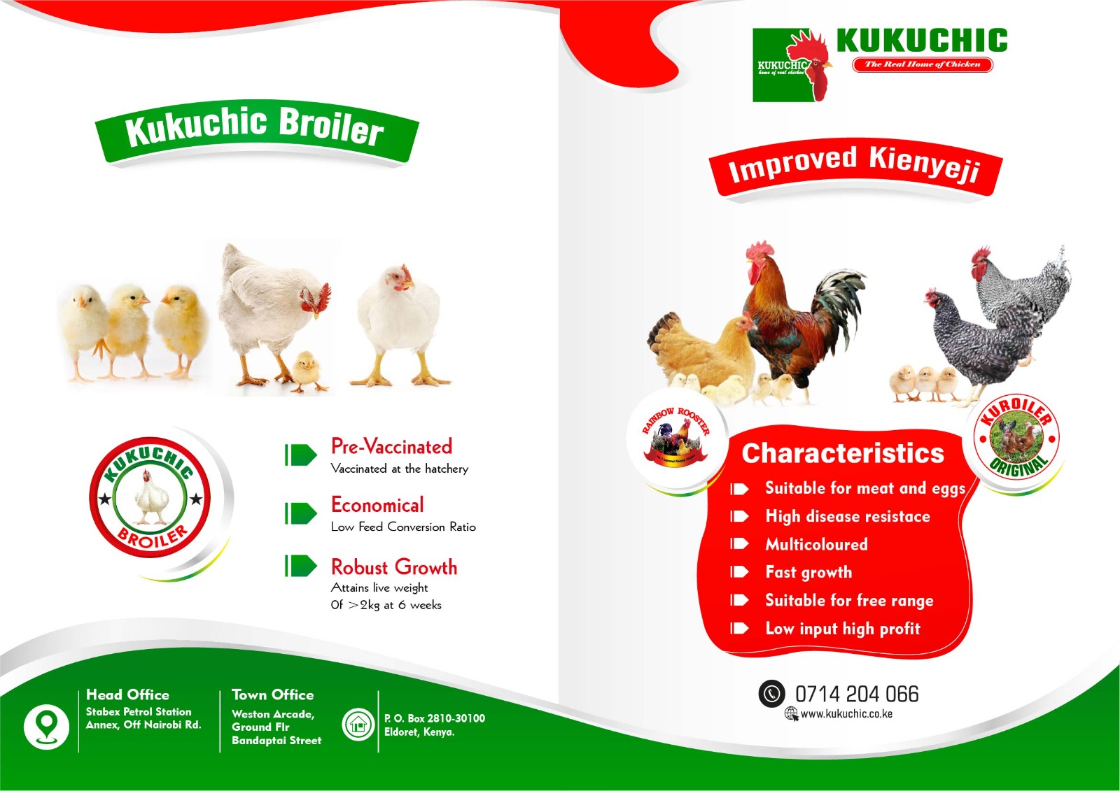 Kuroiler